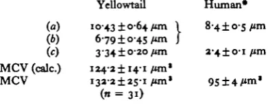 Table 3. Summary of the dimensions (ccount.ments, and determinations of mean cell volume based on haematocrit value and red cell = thickness) of red blood cells of yellowtailtogether with calculated values (%n .£a . .\c)for mean cell volume based on these measure- {Values (+ S.D.) for human blood are also given.)