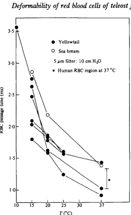 Fig. 3. Effect of temperature on the mean passage time for red blood cells of yellowtail