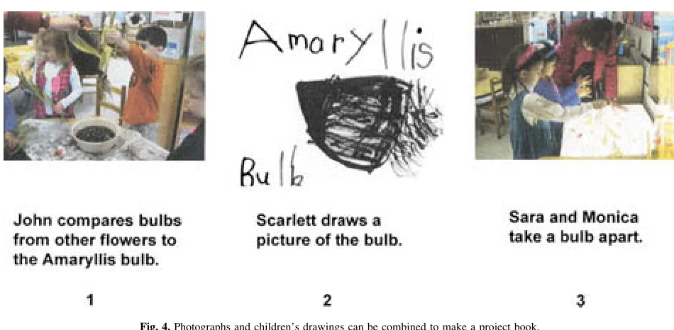 Fig. 3. Children revisit a documentation panel board.