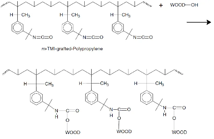 Figure 4. Coupling mechanism of m-TMI grafted polypropylene. (Lipponen, 2012). 