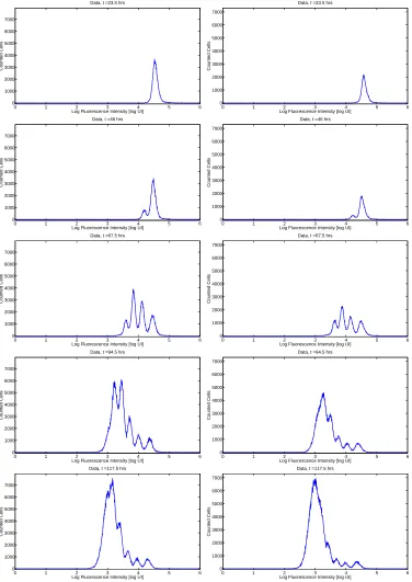 Figure 1: Histogram data for CD4 T cells from Donor 1 (left) and Donor 2 (right).An initially unimodaldistribution of ﬂuorescence intensity becomes multimodal as cells divide asynchronously