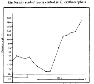 Fig. 5. Typical transient antagonistic yaw response observed in a free-flying animal at thebeginning of a stimulation period