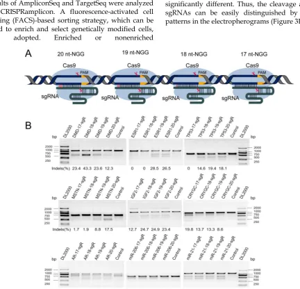 Figure 1. Difference in the activity at the same genomic location in different lengths of sgRNAs