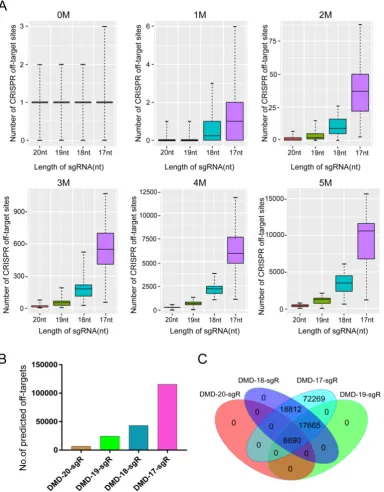 Figure 2. Predicted specificity of sgRNAs in different lengths targeting mismatches. T-test was performed on the total predicted off-target sites of sgRNAs with 19, 18, 17 nts against 20 nt in length