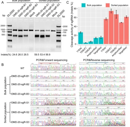 Figure 3. The sensitivities of different methods in detecting the activity of 20 nt-long sgRNA