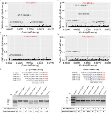 Figure 4. Detection of on- and off-target site cleavage activities in different lengths of sgRNAs but targeting DMD gene based on in silico prediction and Target capture sequencing