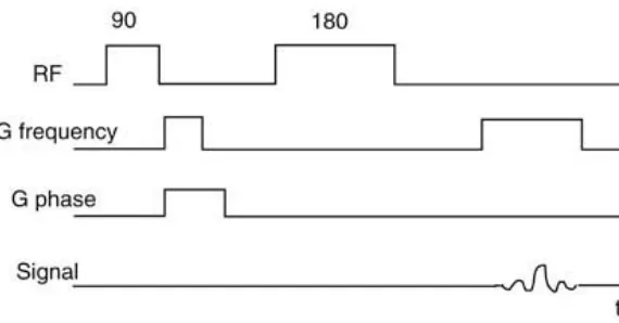 Figure 9:  Diagram illustrating the two-dimensional sequence.