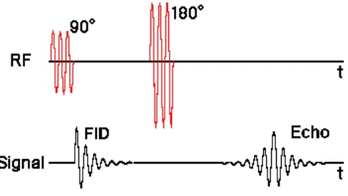 Figure 1: Timing diagram for a spin-echo sequence (7).