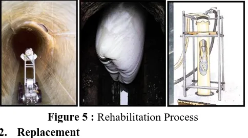 Figure 5 : Rehabilitation Process Replacement 