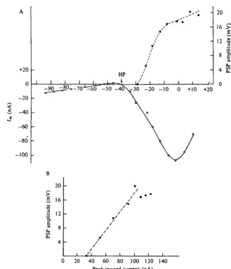 Fig. 3. Transmitter release and presynaptic Cal+at a holding potential of —40 mV in a sea water solution containing high-divalent cation.Transmitter release was evoked by 200 ms duration depolarizing clamp steps