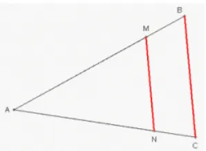 Figure 5. The “butterfly” form  