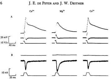 Fig. i.superposed records taken frombrane potentialmechanical stimuli (lower trace)Mgchanges,The upstrokes {A) Intracellular recordings of membrane potential changes (upper trace) elicited by to the cell anterior, before and after replacement of Caa+ by2+,