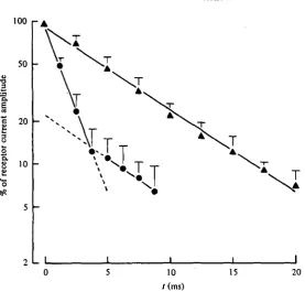 Fig. 3. Example of voltage-clamp recordings in the standard Ca solution to demonstrate howthe reversal potential of the mechanoreceptor current was determined (holding potentialresting potential) indicate the approximate reversal potential (here near to a 