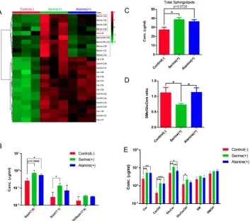 Figure 8. Sphingolipidomic analysis reveals nutrition-dependent metabolic features. (A) Hierarchical heat map showing clustering of 25 SL species with significant variations for higher concentrations