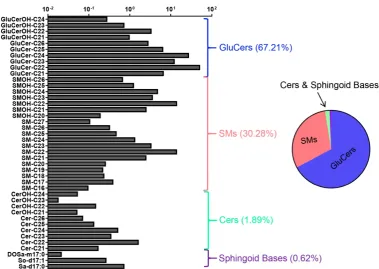 Figure 2. Molecular composition of the wild-type C. elegans SL profile. 42 quantified SL species in L1-stage N2 worms shown