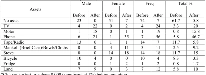 Table 22: Assets owned before and after migration by sex           