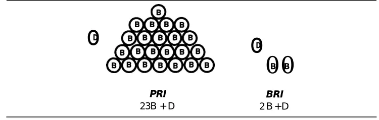 Figure 1-2. PRI vs. BRI