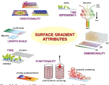 Figure 2.4. Overview of different properties surface gradients [13] 