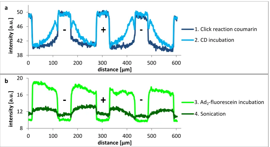 Figure 4.2. Intensity profiles of the different steps of a) CD gradient formation and b) guest incubation and sonication afterwards