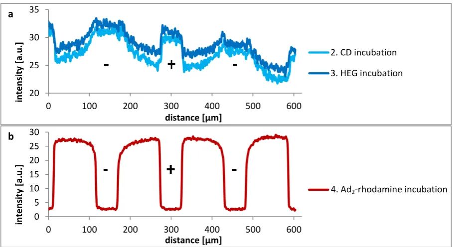 Figure 4.4. Intensity profiles of a) steps 2-3 of CD gradient formation including HEG-alkyne incubation and b) guest incubation