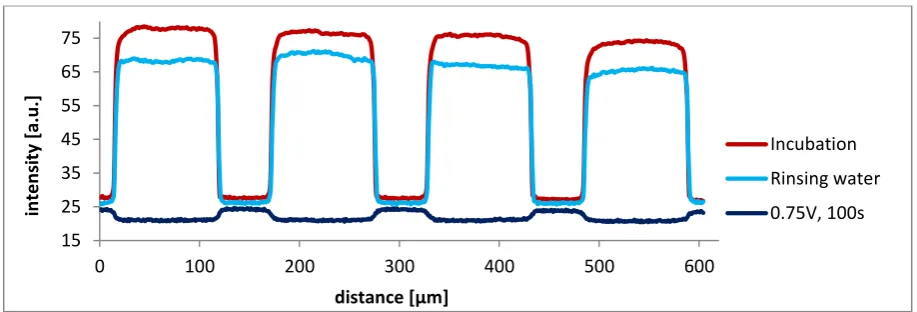 Figure 5.8. Chronoamperograms obtained by applying a potential for 100 s at 0.3 V or 0