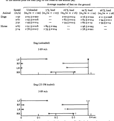 Fig. 2. Footfall pattern of a dog carrying a load equal to 25-5 % of its body mass is comparedwith the pattern of the same dog running without a load