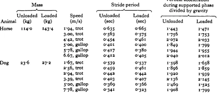 Table 3. Stride period and average vertical acceleration during the