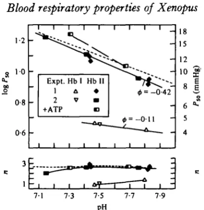Fig. 10. Effects of pH on P 5 0 and n of two haemoglobin components isolated separately fromhaemolysates of two Xenopus specimens measured at 25 °C; A, V