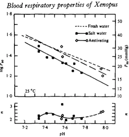 Fig. 5. Variation in and n in blood from aestivating (<», and i2°/oo salt-water acclimated5-20 (r = - 0 0 0 ) ( • ) ; and log Pspecimens ( • ) with pH, measured at 25 °C