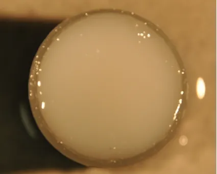 Figure 2.1: A solid agar phantom with a µs’ of about 8.9 cm-1, viewed from the top