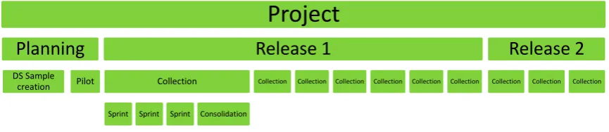 Figure 3: Agile project organization 
