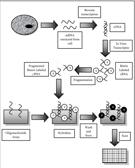 Figure 5: Oligonucleotide Array Experiment Example 