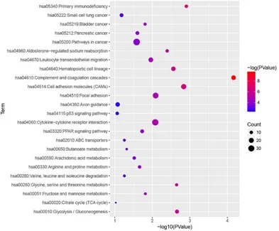 Figure 4. KEGG enrichment analysis of all DEGs with |fold change| > 2. All differentially expressed genes (DEGs) were analysed by KEGG enrichment