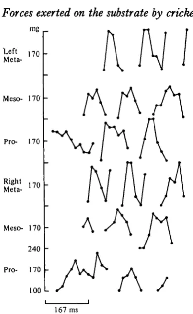 Fig. 3. Graphical representation of forces exerted on the substrate over 0-5 s by a cricket167 ms(including the sequence shown in Fig