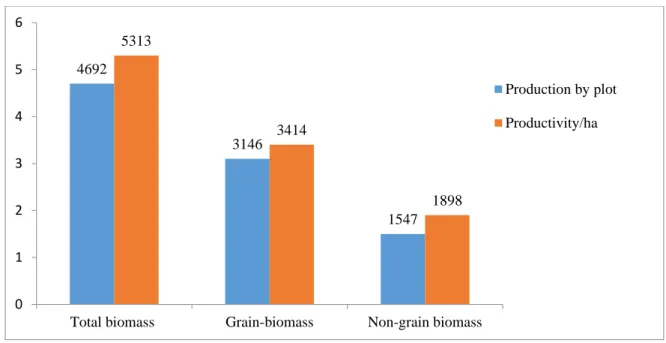 Figure 4. 2 Amount of maize biomass in kg by plot and per hectare 