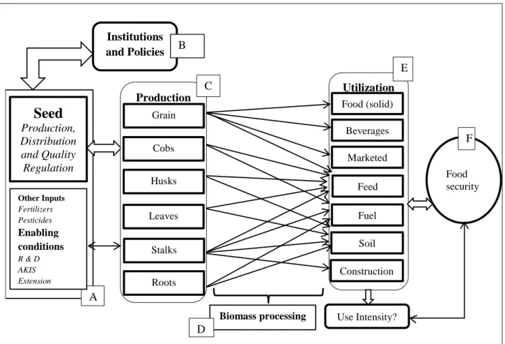 Figure 1. 1 A conceptual framework on household level maize biomass value-webs  and food security  