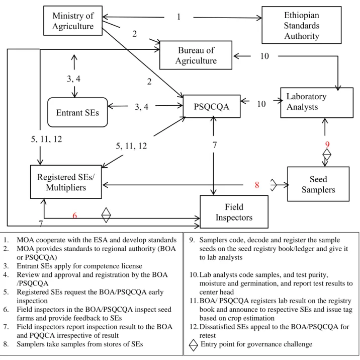 Figure 2. 4 Process of hybrid maize seed certification 