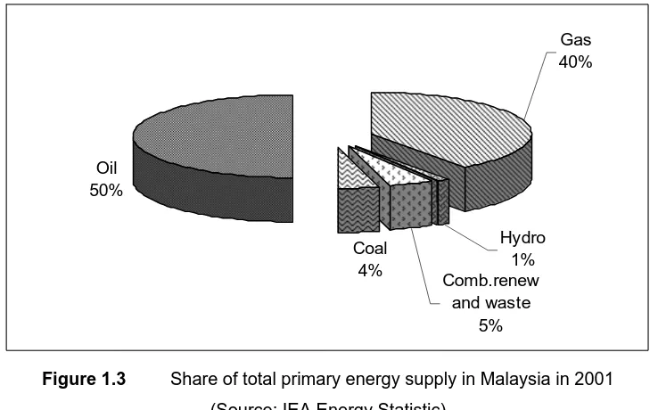 Figure 1.3 Share of total primary energy supply in Malaysia in 2001 