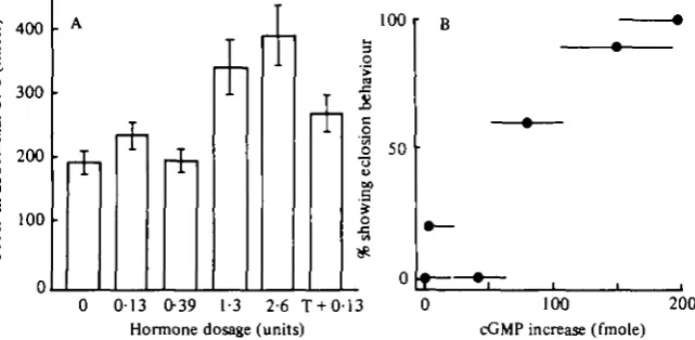 Fig. 6. Changes in cyclic nucleotide levels in the CNS after injection of eclosion hormone intoisolated abdomens