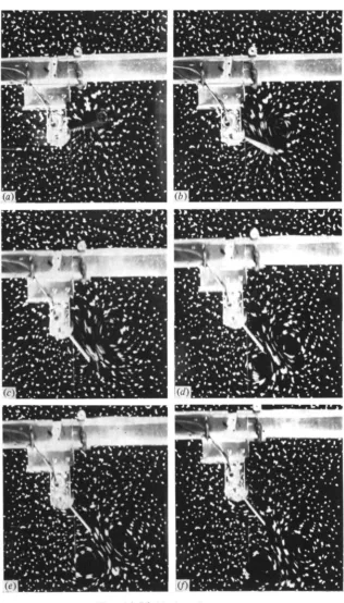 Fig. 7 (a)—(/). For legend see next page.