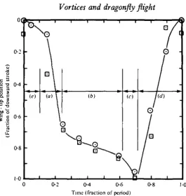 Fig. 4 will be assumed.For the subsequent estimates of the various forces developed during hovering, thekinematics of the mid-span has been idealized (on the basis of Fig