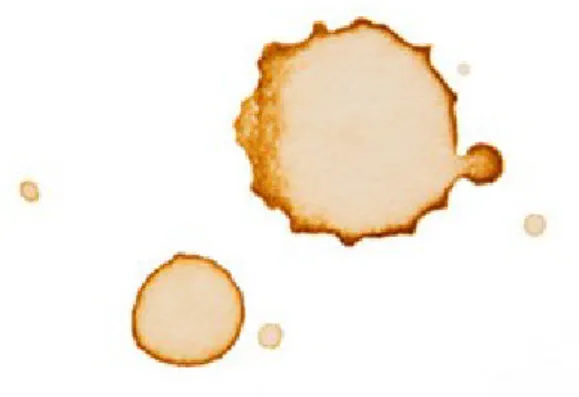 Figure 1: Some coffee stains, which have a distinctive darker color on the perimeter, suggesting higher concentrations of particles there.