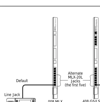 Figure 1-1.Setting Up the MLX-20L Console