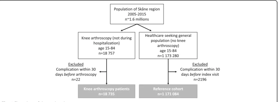 Fig. 1 Flow chart of the study cohorts