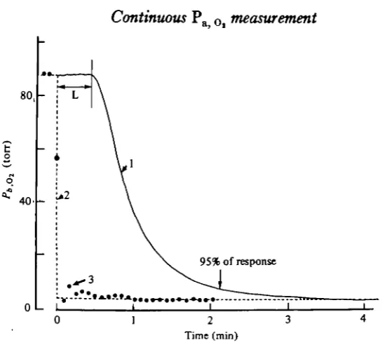 Fig. 3. Curve 1 is the record of apparent Po obtained after an abrupt shift from arterialdorsal aortic blood to mixed venous ventral aortic blood entering the measuring system