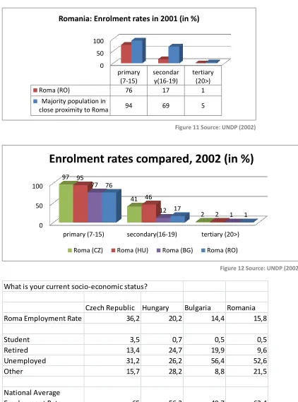 Figure 12 Source: UNDP (2002) 