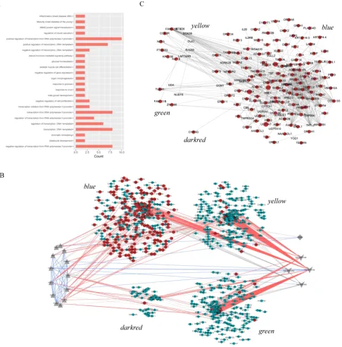 Figure 4. A. The biological processes enriched by 13 pivot TFs of 4 core modules. Circles in red represent DEGs