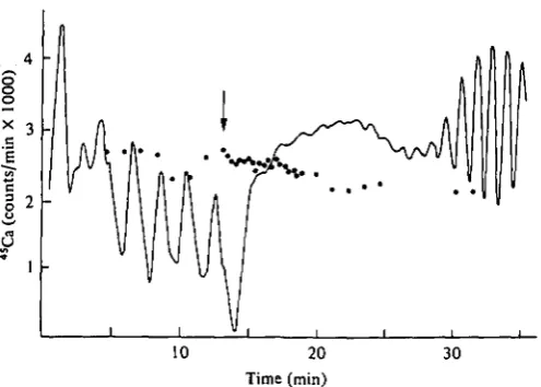 Fig. 19. The effect of 1administered the organism passes through a state of ' shock' after which the contractile rhythm mM glucose (given at arrow) on the motile activity (continuous line)and efflux of "Caa+ (dots) from the slime mould Physarum