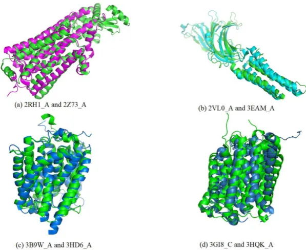 Figure 3. Entries found in the same superfamily using the TMSA. 