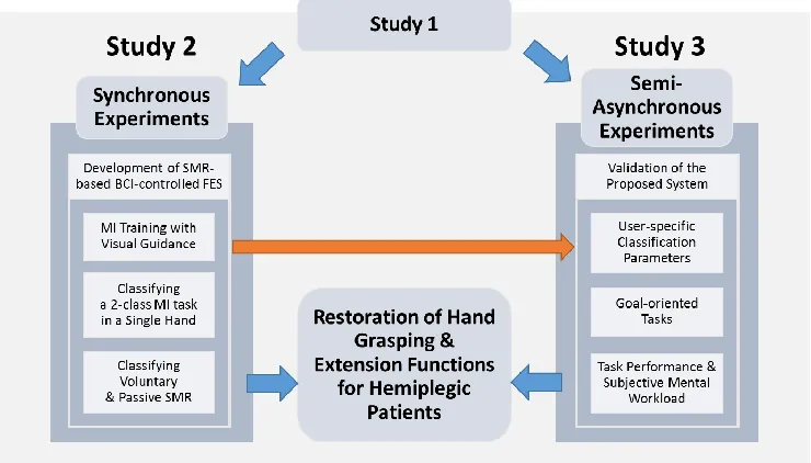 Figure 1.3. Framework of Studies 2 and 3 